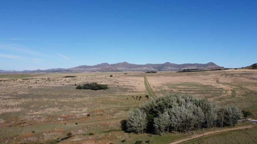 Commercial Property for Sale in Paul Roux Free State